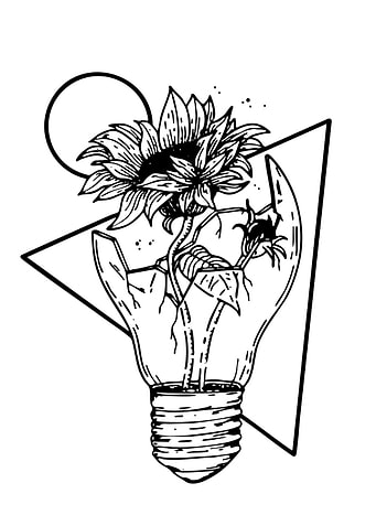 Sunflower Growing in Lightbulb