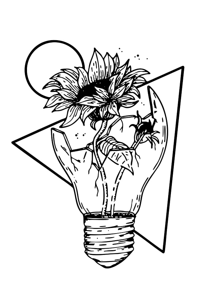 Sunflower Growing in Lightbulb