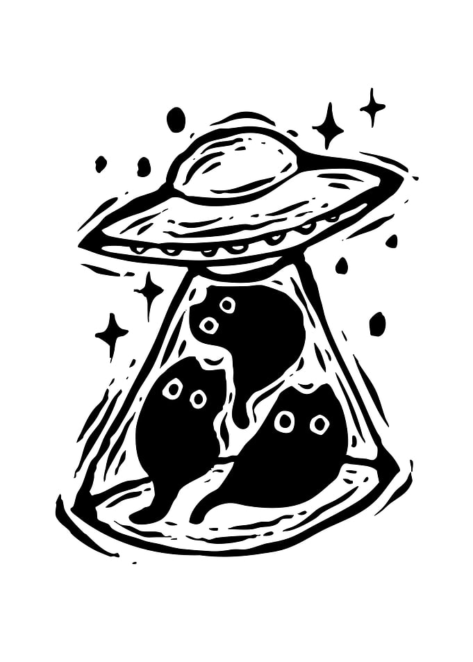 Cats Abducted by UFO