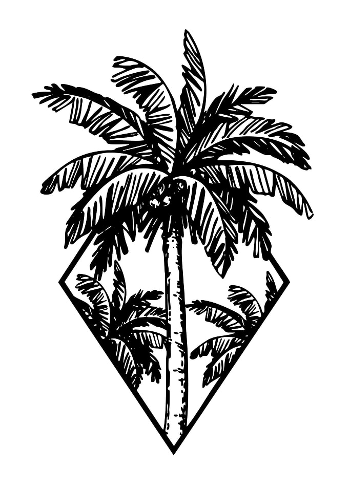 Palm Trees in Diamond Outline