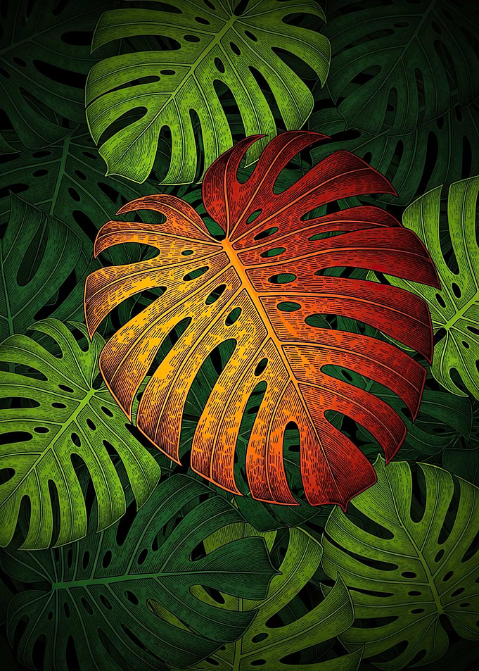 Monstera Leaf Gradient
