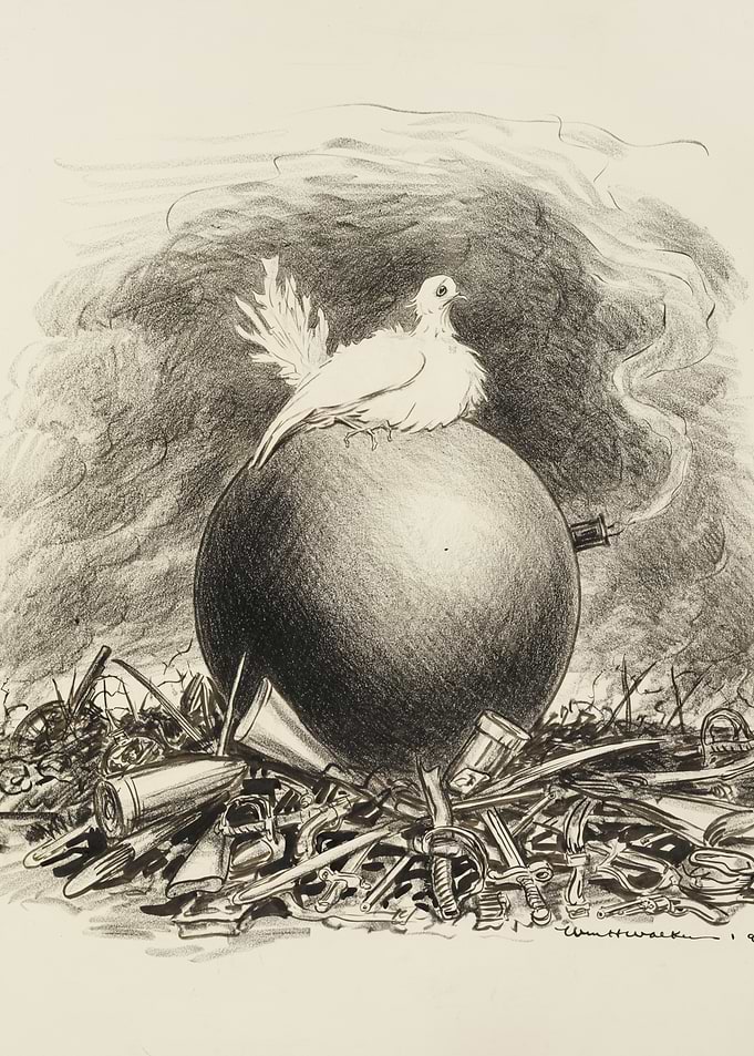 Dove on Bomb Amidst Debris