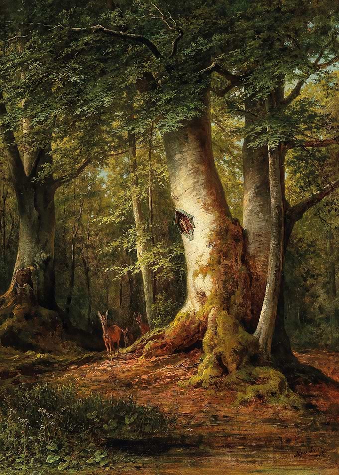 Deer in a Sunlit Forest