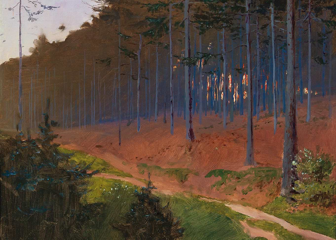 Forest Path with Sunlight