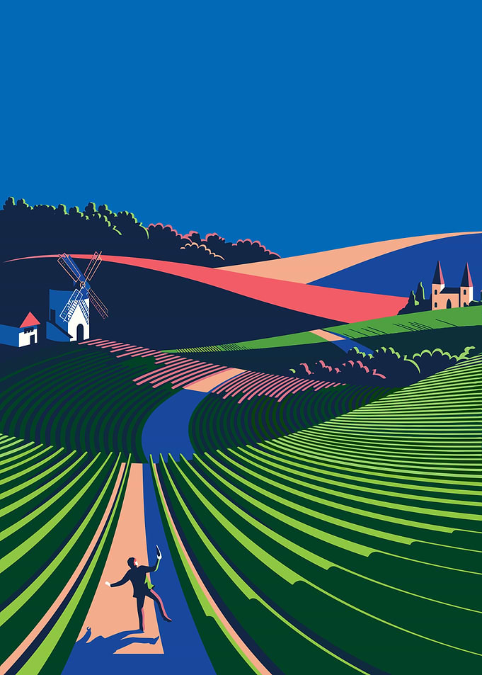 Man in a vineyard at sunset