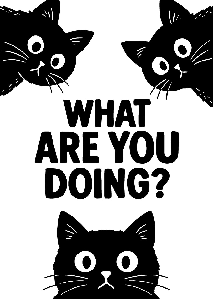 Funny Cats Asking What Are You Doing
