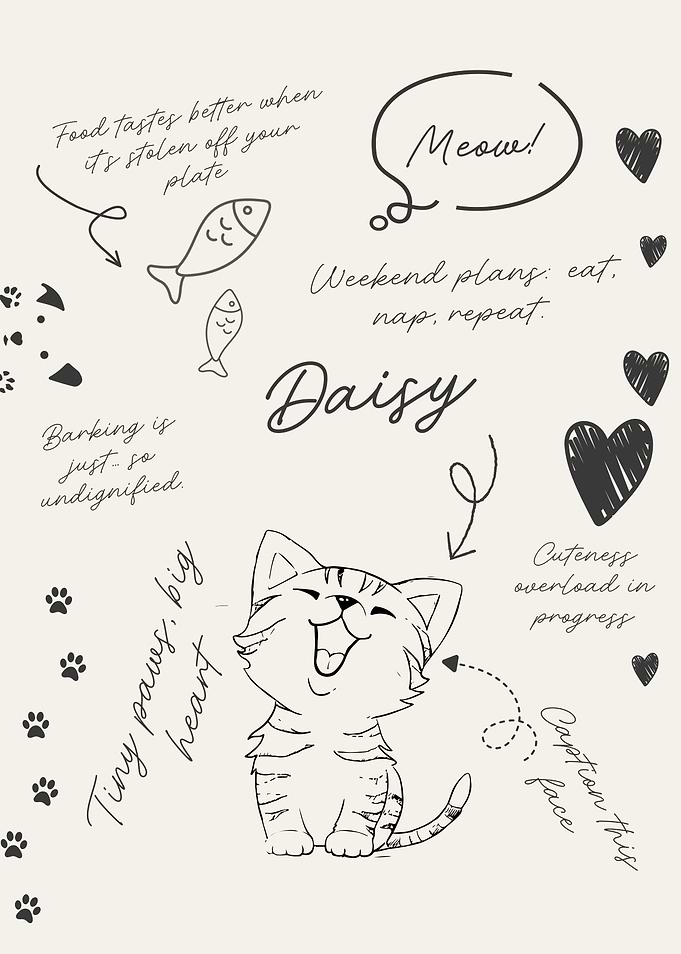 Cute Cat Daisy with Funny Quotes
