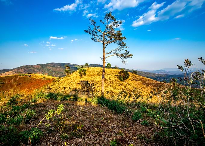 Scenery on Top the Ancient Volcano in Gia Lai, Vietnam.