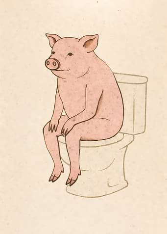 Pig Sitting on Toilet