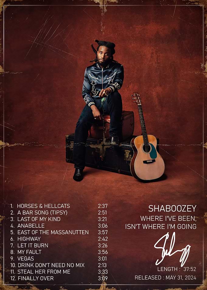 Shaboozey Album Cover