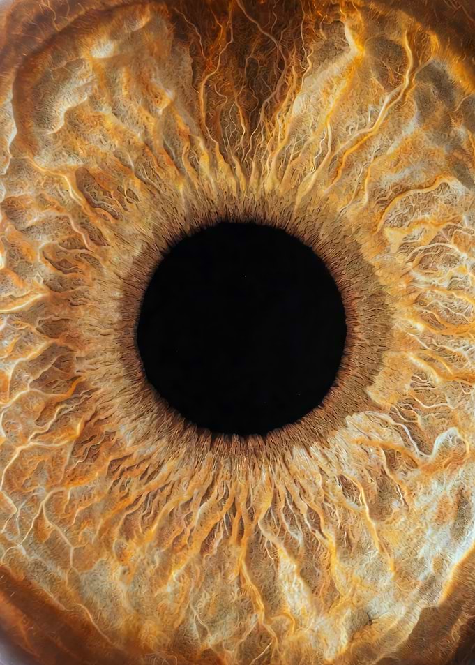 Human Iris