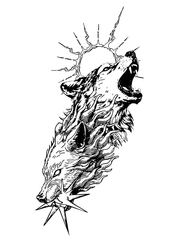Wolf howling at the sun