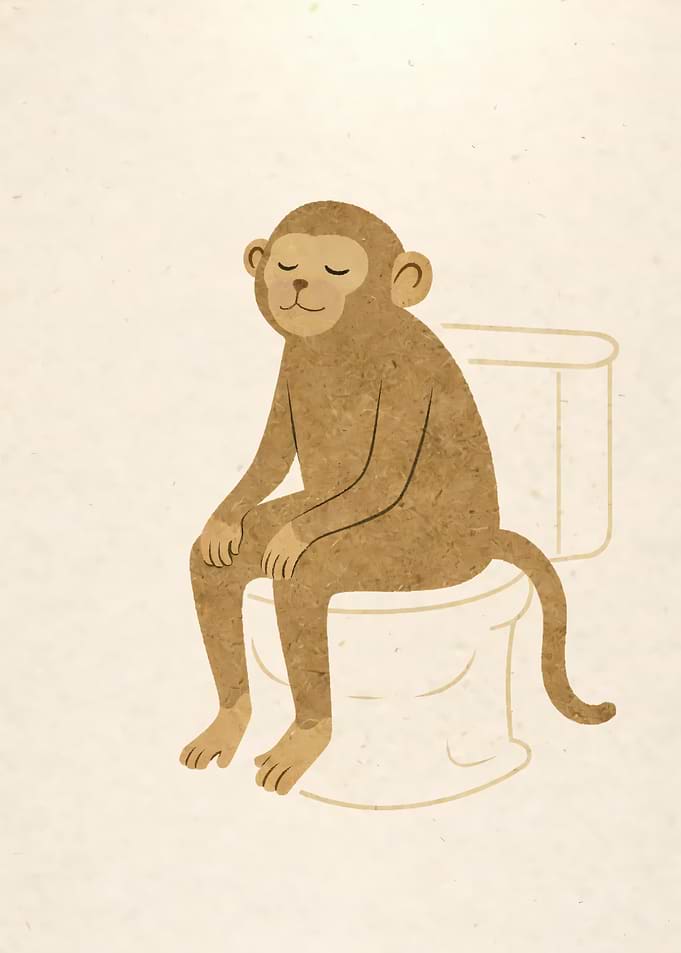 Monkey Sitting on Toilet