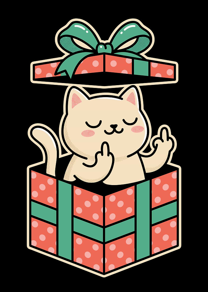 Cat in a Gift Box Giving Middle Finger