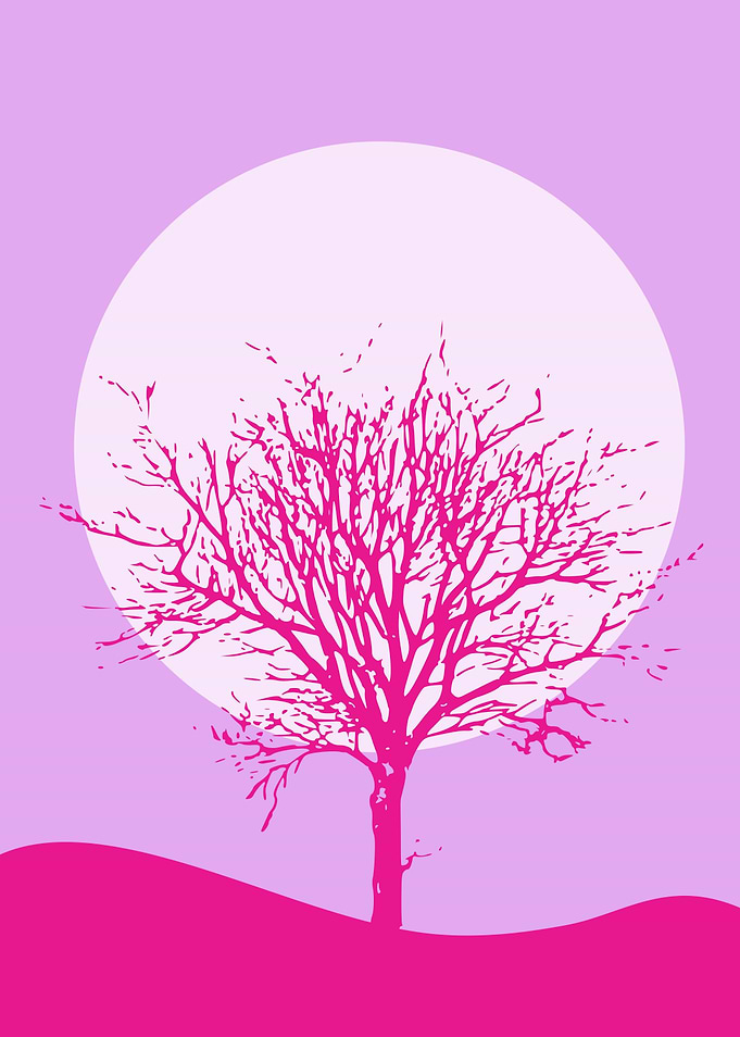 Pink Tree Silhouette Against Moon