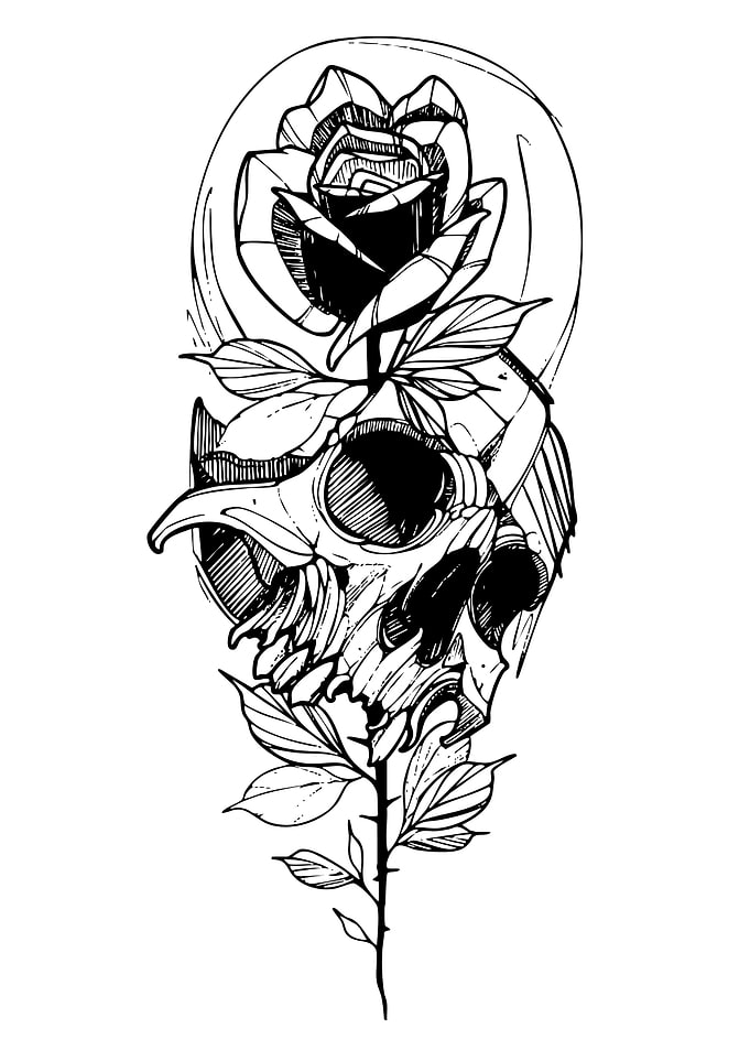Skull and Rose Tattoo Design