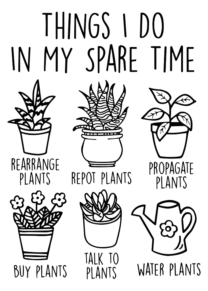 Things I Do in My Spare Time Plant Poster, Funny Plant Lover Wall Art Print