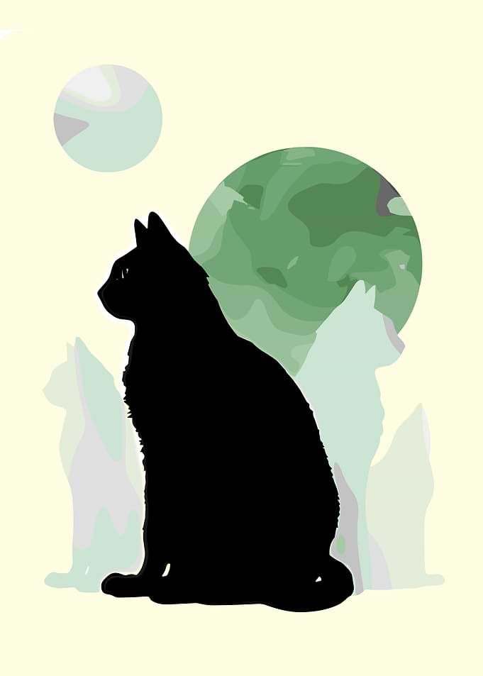 Black Cat Silhouette with Planets