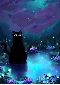 Black Cat in a Magical Night Pond