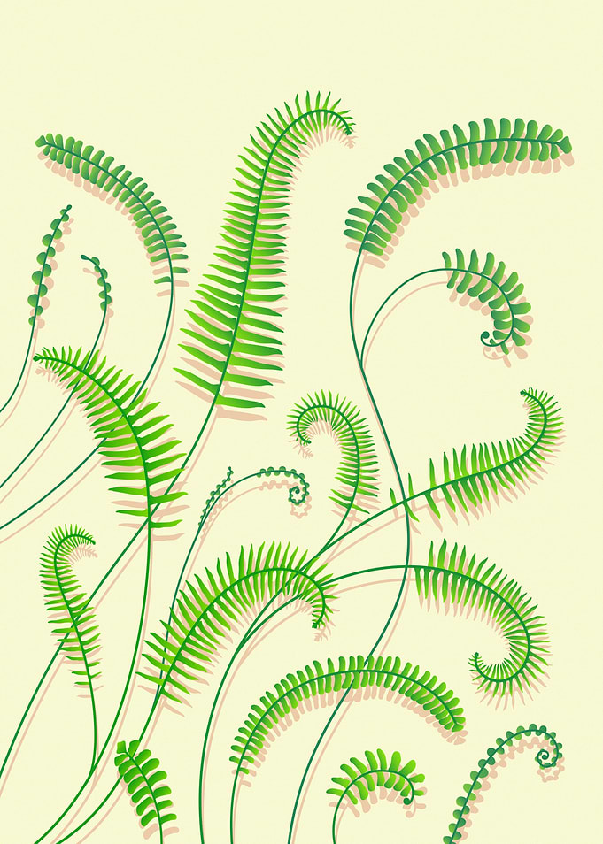 Fern Fronds