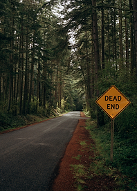 Dead End Road in Forest