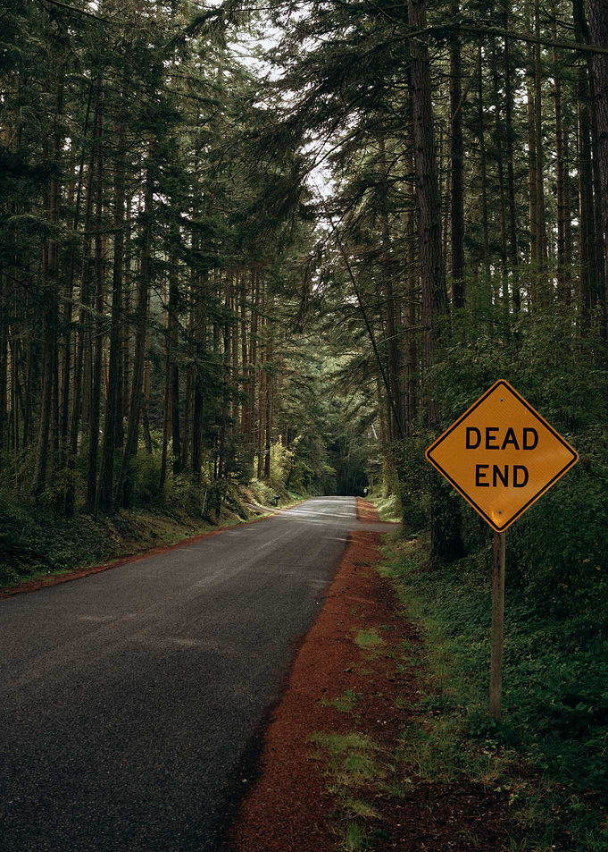 Dead End Road in Forest