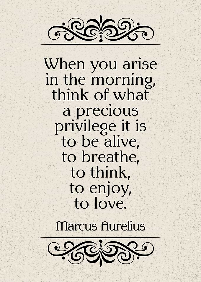 Marcus Aurelius Morning Gratitude