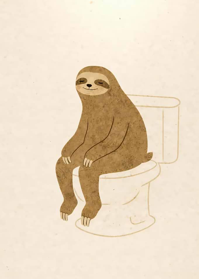 Sloth on Toilet Illustration