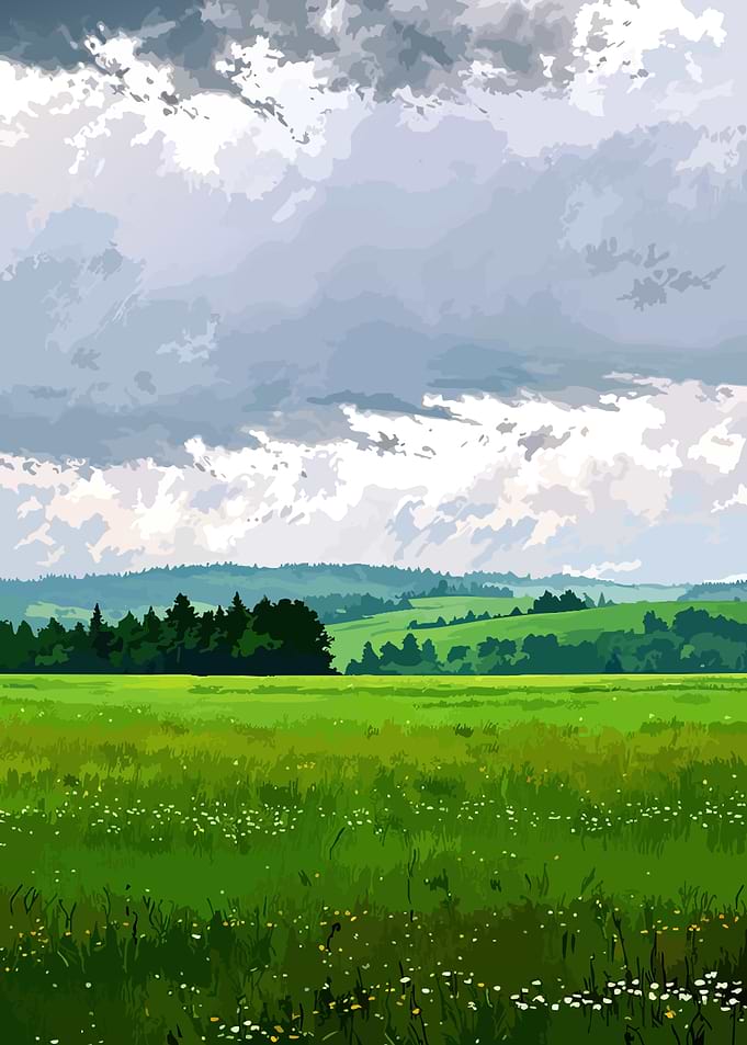 Vast Green Meadow Under Cloudy Sky