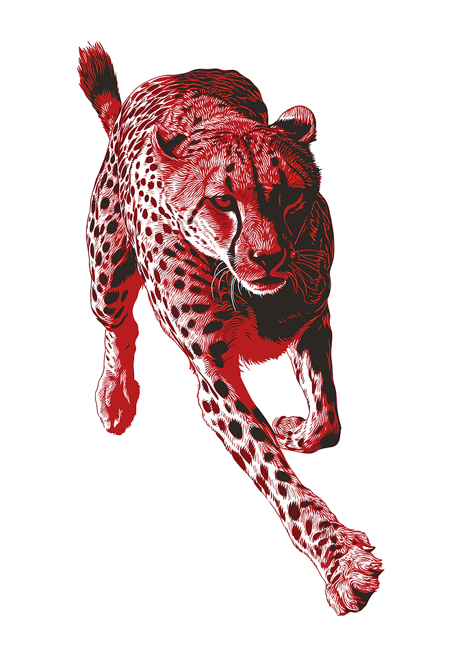 Running Cheetah in Red and Black