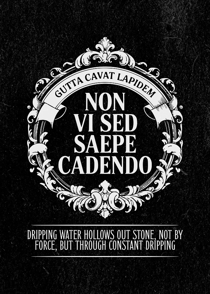 Latin Quote Gutta Cavat Lapidem