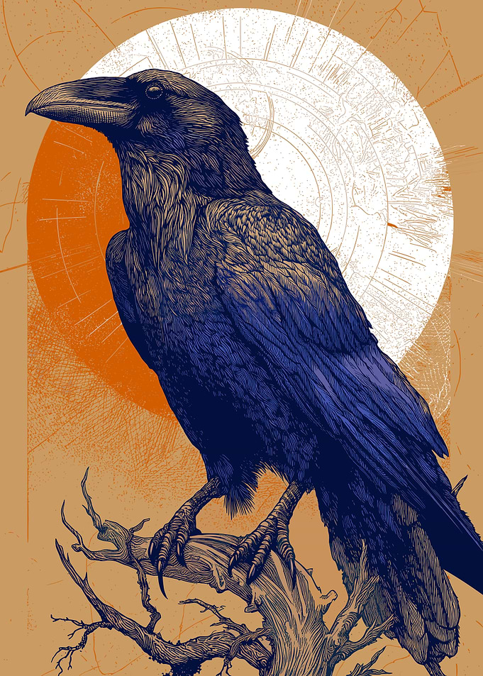 Raven perched on a branch