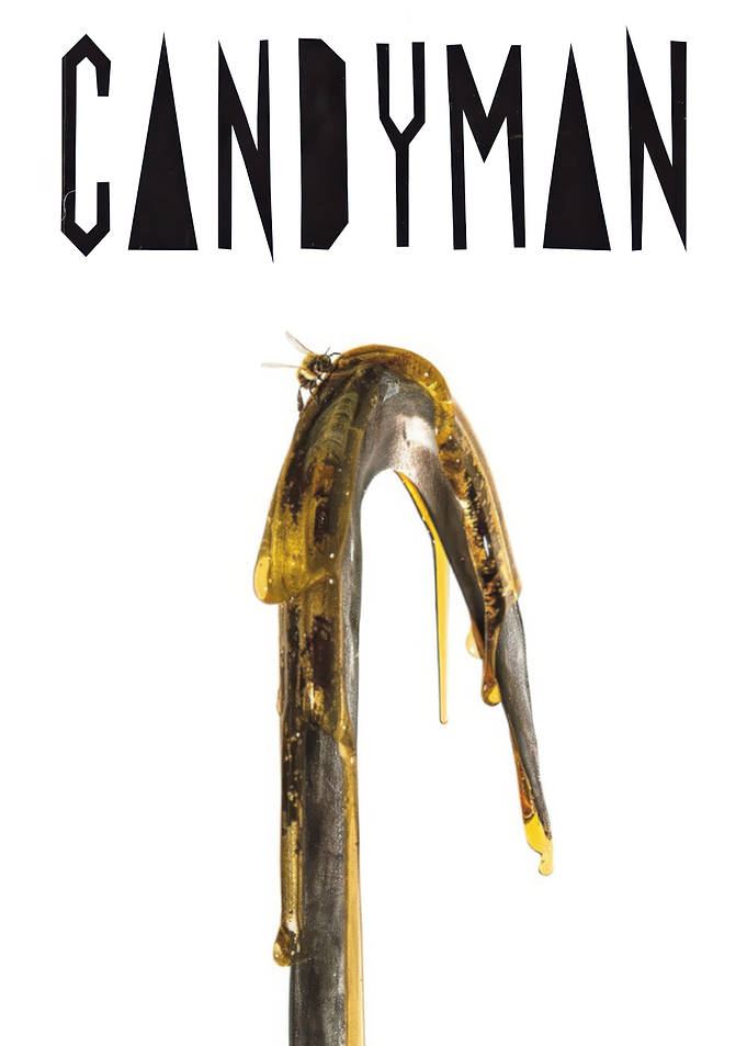 Candyman Movie Poster with Hook
