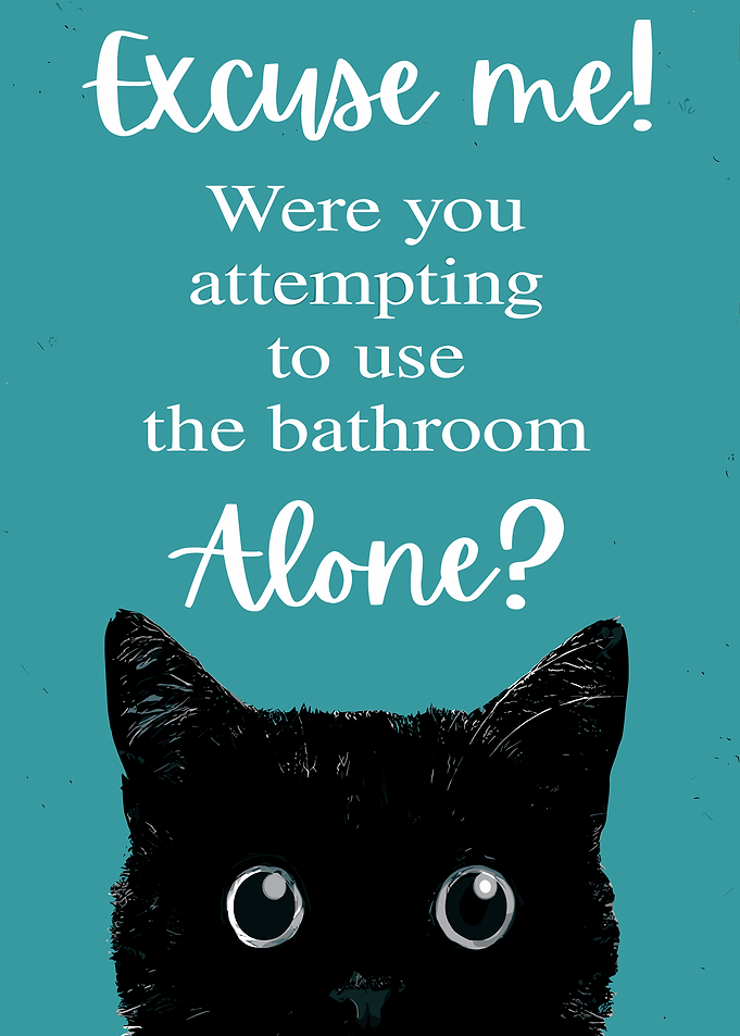 Funny Cat Bathroom Sign