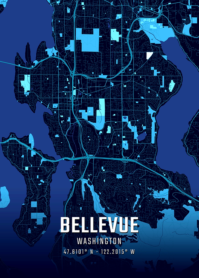 Bellevue Washington Midnight City Map