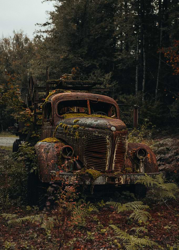 Abandoned Rusty Truck in Forest