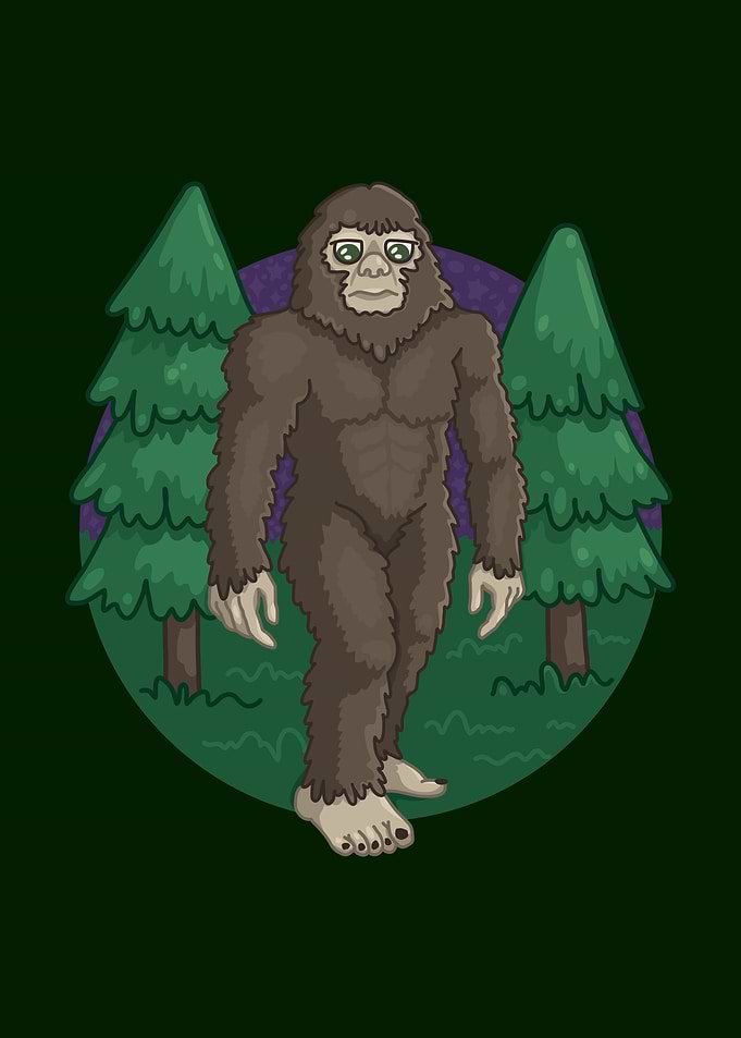 Bigfoot in the Forest