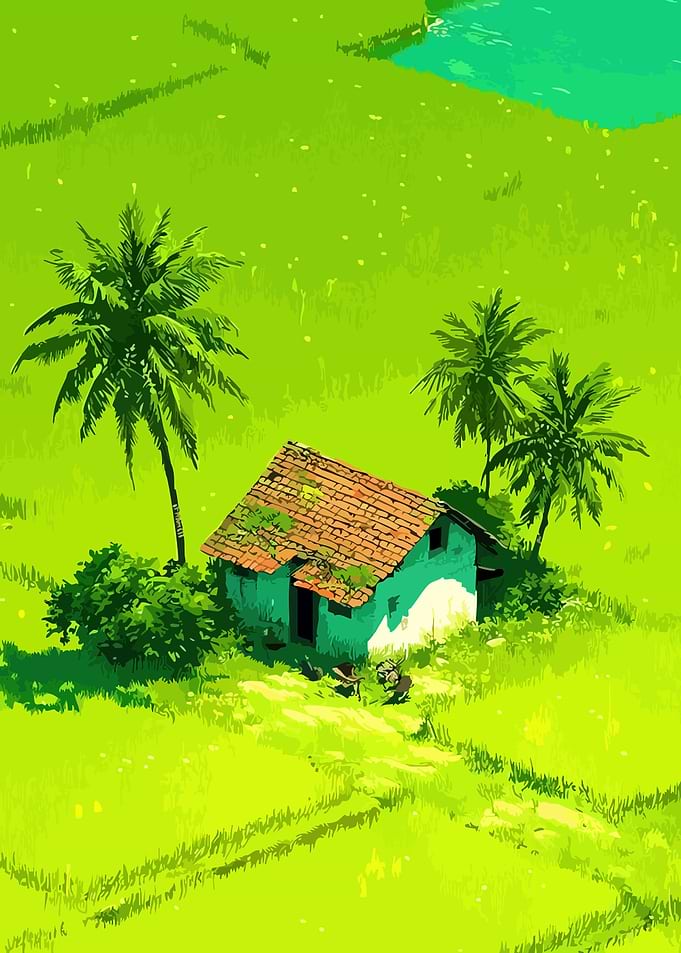 Tropical house with palm trees