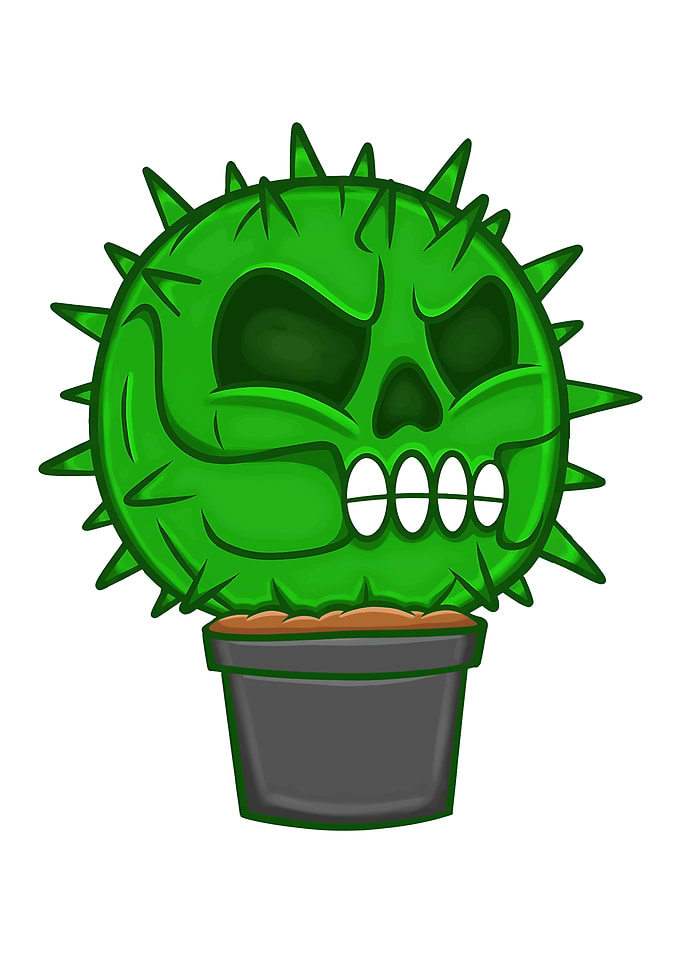 Skull Cactus in a Pot