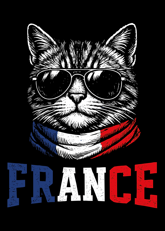 France Cat Poster, Cool Cat with Aviator Sunglasses Wall Art, French Flag Print