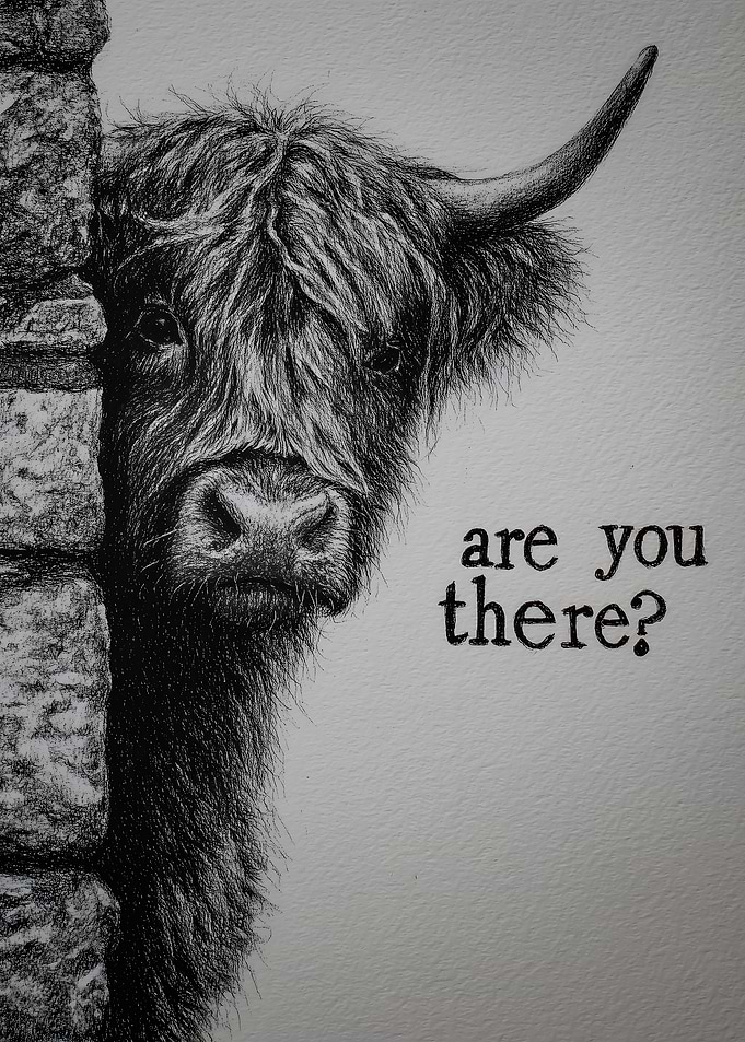 Highland Cow Peeking Around Corner