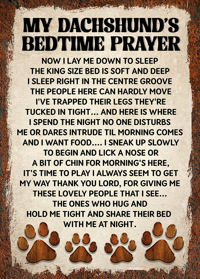 Dachshund Bedtime Prayer Poster