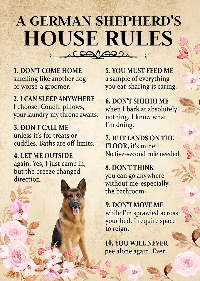 German Shepherd House Rules Poster