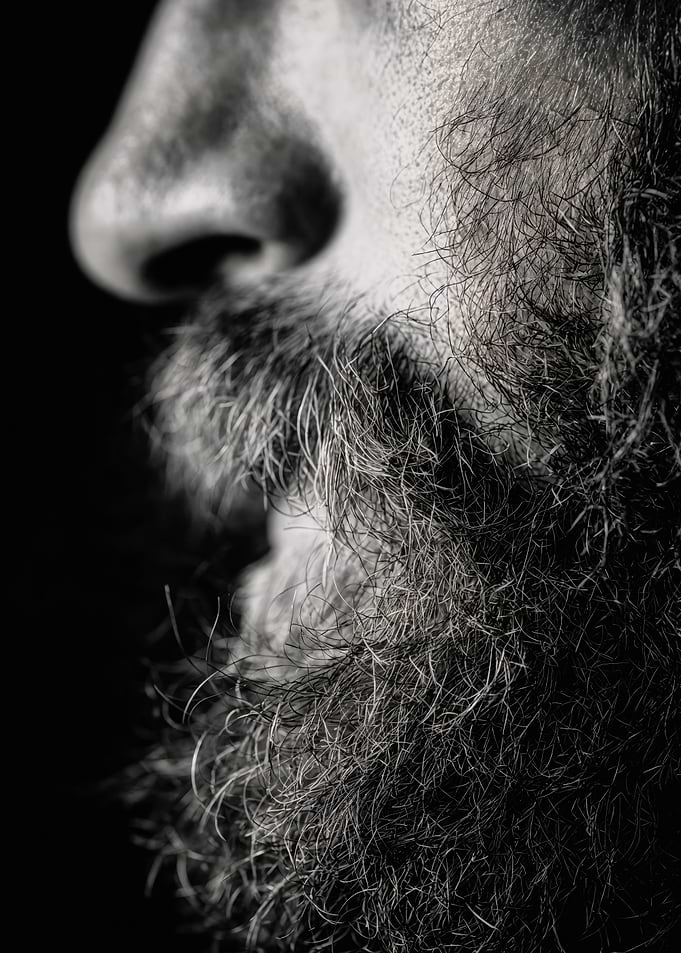 Black White Male Beard Portrait