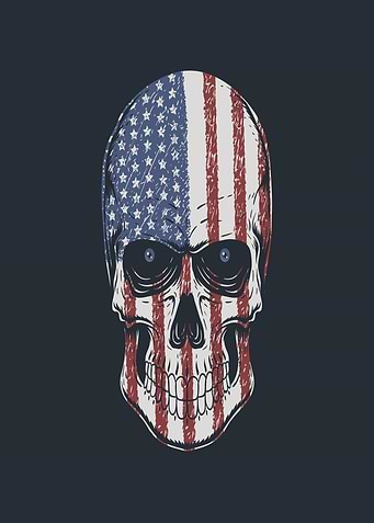 American Flag Skull