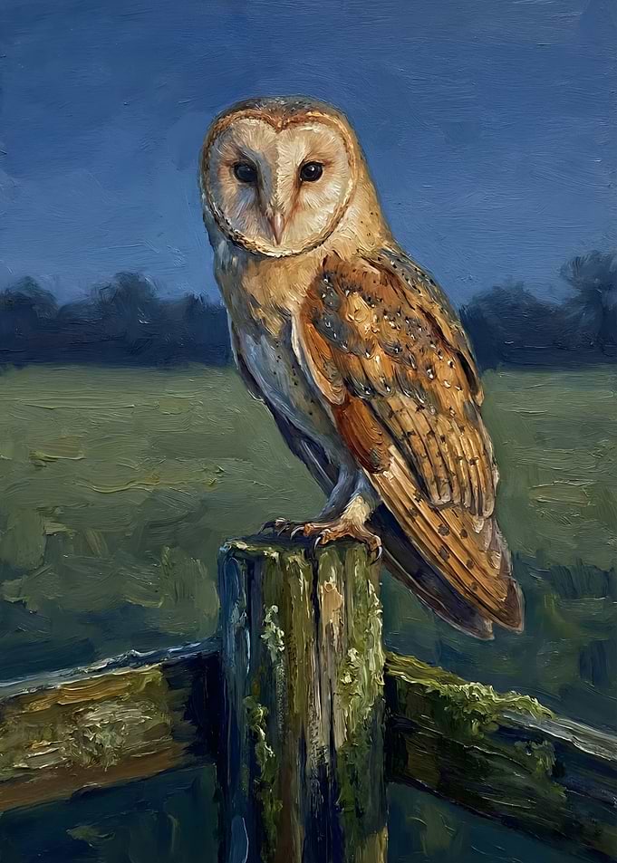 Barn Owl Perched on a Post