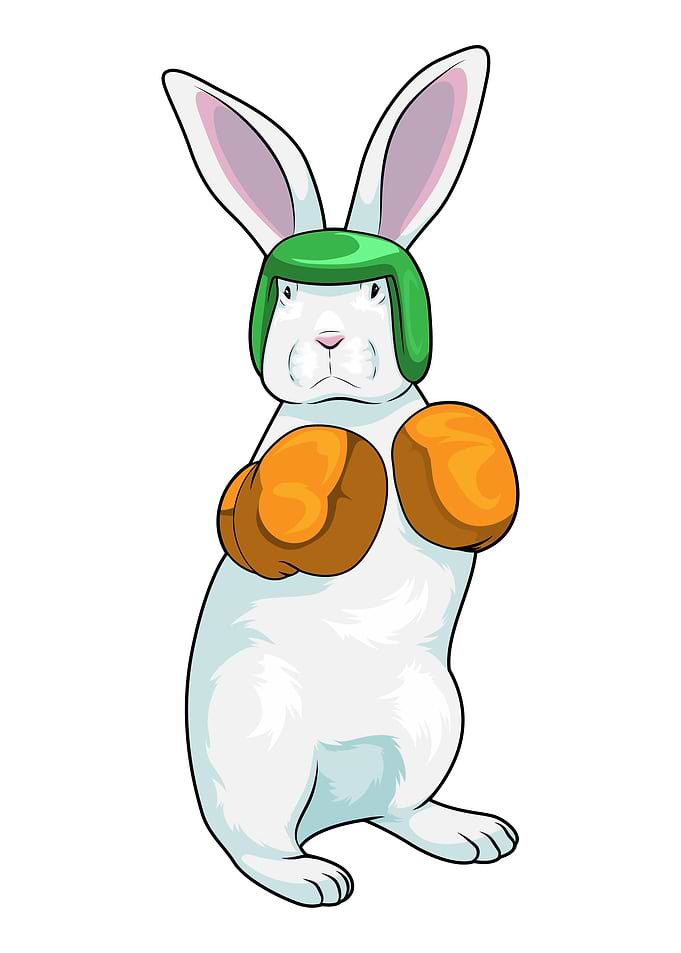 Rabbit Boxer Boxing gloves