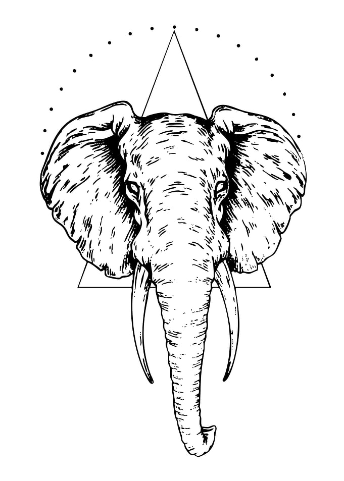 Elephant Head with Geometric Design