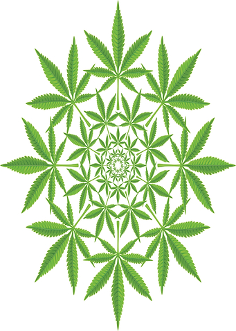 Cannabis Mandala
