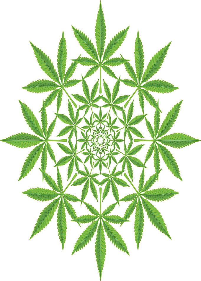 Cannabis Mandala
